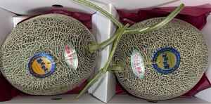 特大！熊本産 肥後グリーン【最上ランク赤秀品6Lサイズ2玉セット】 約6.3k箱込 熊本フルーツ堂17</a></h3>
                        