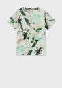 stylife:14963649