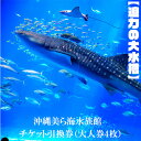 f473081-motobu:10000557